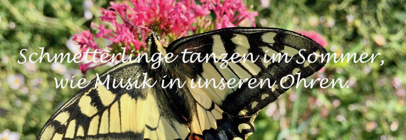 Sommer-Special